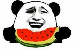 吃瓜表情包 独家爆料喜相迎酒店,吃瓜表情包独家爆料，揭秘幕后喜讯