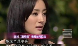 娱乐圈吃瓜合集网盘下载 明星价格表 潜规则全书阅读,明星价格表与吃瓜合集深度解读