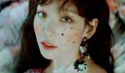 明星视频在线观看,在线观看热门视频，尽享星光熠熠