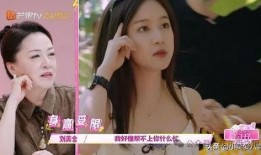 明星美女 52每日大瓜视频,揭秘娱乐圈幕后故事